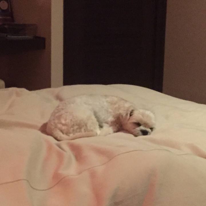 03b20165 328b 431f a36a 0d23feca41c6 1509111931443