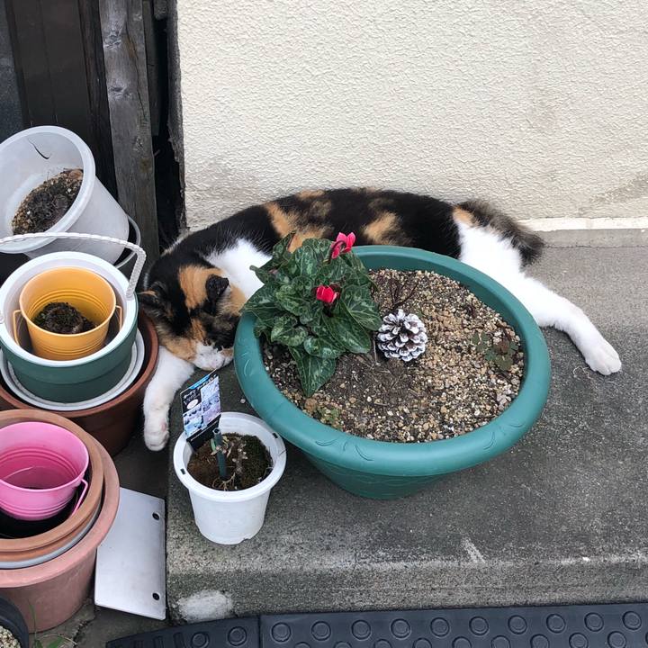 03b243fa b61c 4795 8865 fdc3cde17dee 1534092031711