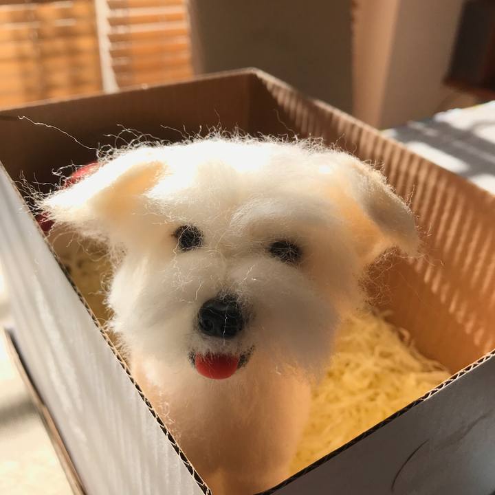 03b25021 3b39 4b06 9f4f 15387ed87ae7 1573342275993