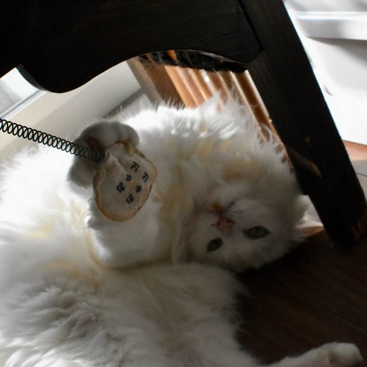 03b2603e e22e 429e 85e9 0cd650fb32a6 1771811802926