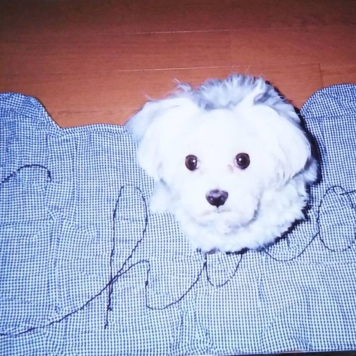 03b29bb7 b3fb 4c86 833c d66671219957 1571103745364