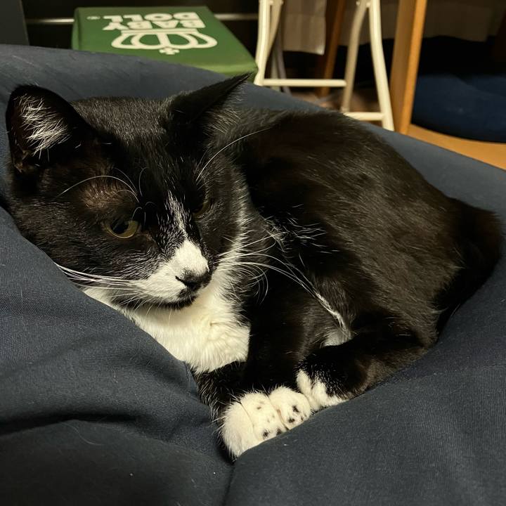 03b2a650 ec37 482c b732 f8b2f60b2ce6 1670385383518