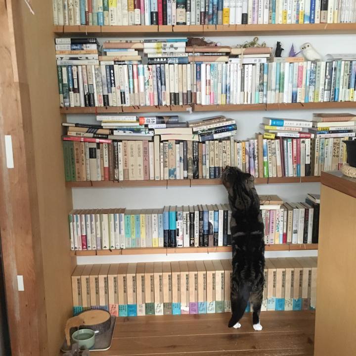 03b2a7b2 3800 4de6 a4bf 7fa872c5ec41 1552999057697