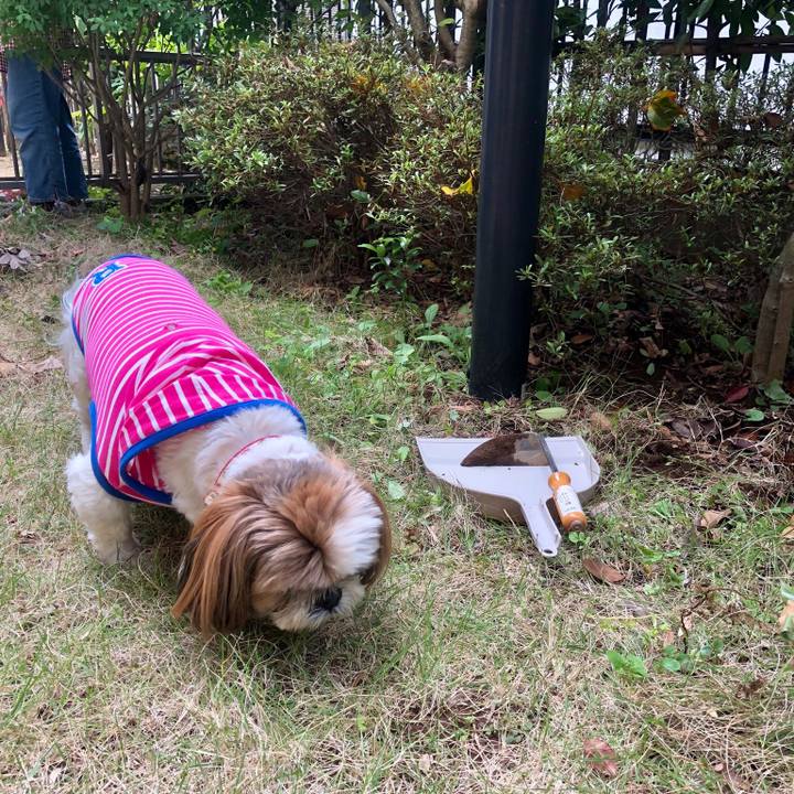 03b2aa16 4120 4695 a3c2 24ef43edd216 1525396004311