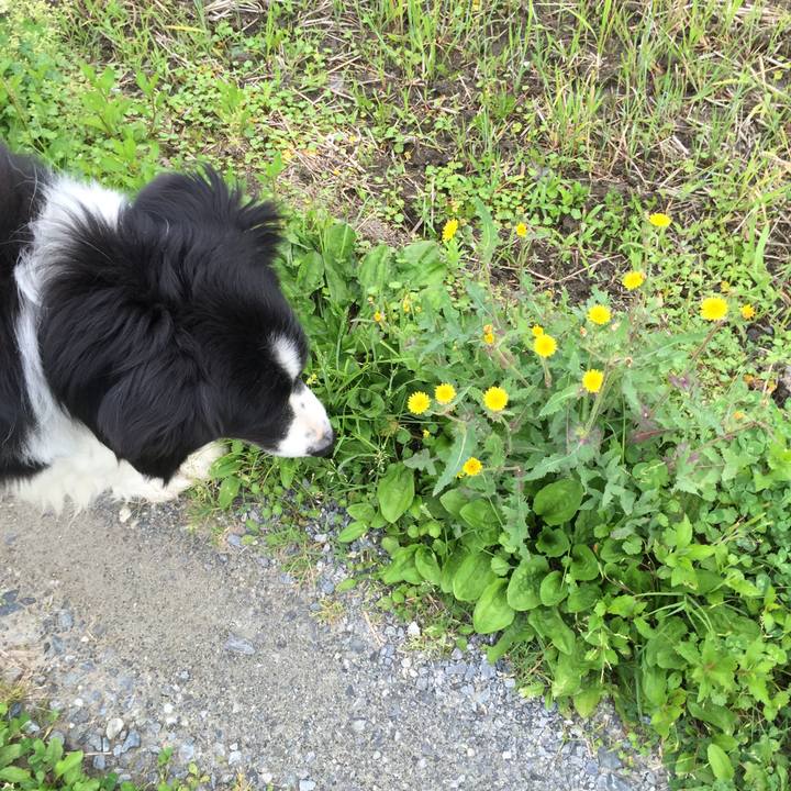 03b2b9bd 00e3 4737 9578 2f219f5c64b2 1526424823104