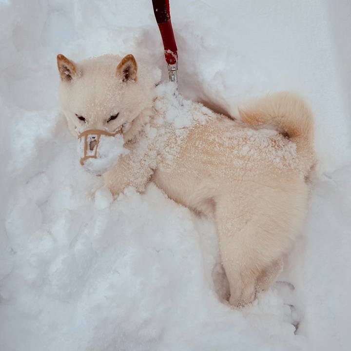 03b2d102 a410 49a0 af5d 7eabec66a982 1705190358948