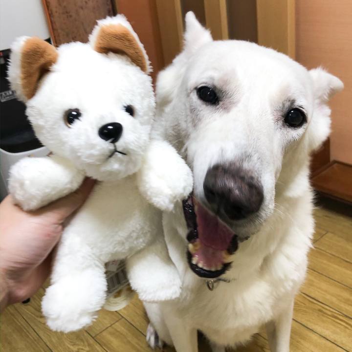 03b2e9a0 bd9b 43ad 90e1 fe9c1d09c5ad 1572180594923