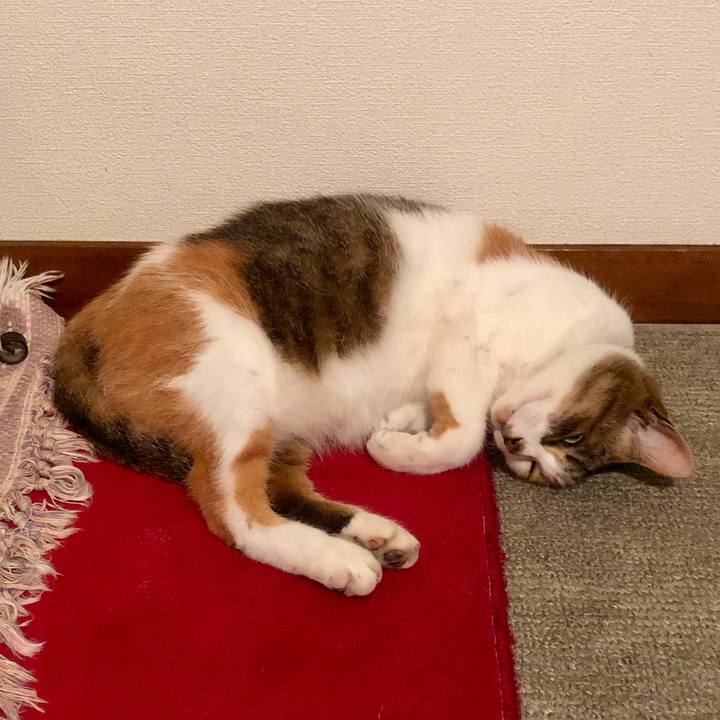 03b2eefb ef69 4627 be79 7b4c96524217 1528984284602