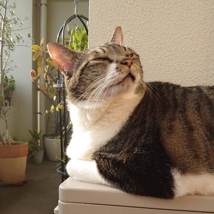 03b2ff7a 2d33 4a7f aedc 8cd3b0843f0b 1636498718697