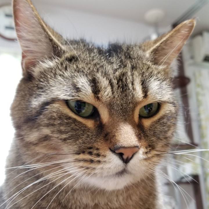 03b300b0 d0a6 4f08 9435 85346db6691a 1560807851894