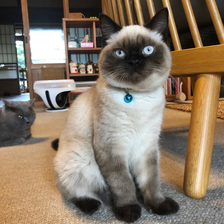 03b30f5c 4f04 4636 9ae1 23f00faaad4a 1593689762818