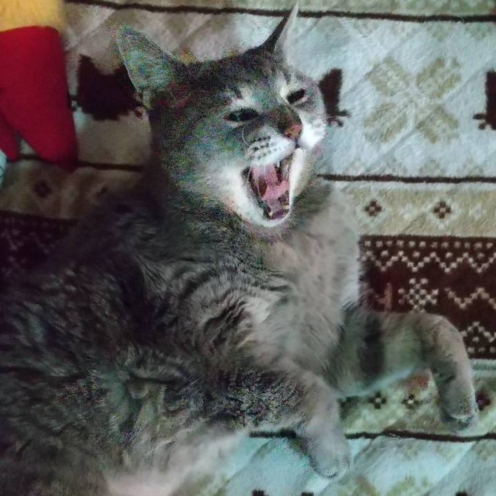 03b35a03 a17a 4bb0 9f4d b0f796eb81ce 1680994116370