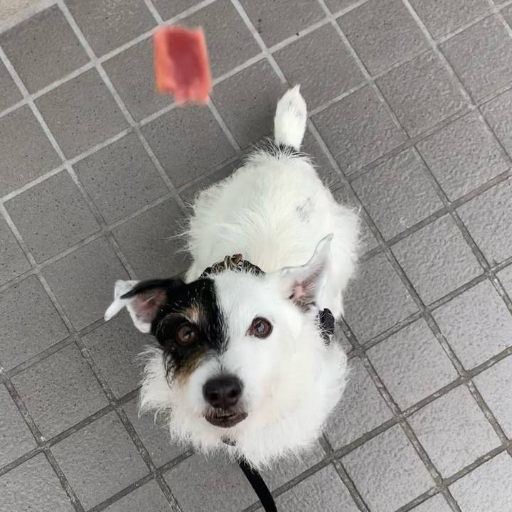 03b37d41 7277 4a3d 82ba 8f1c61f193ad 1716251340483