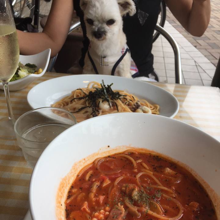 03b39aa2 94c8 4a2a ab75 bec3e738b537 1568431591438