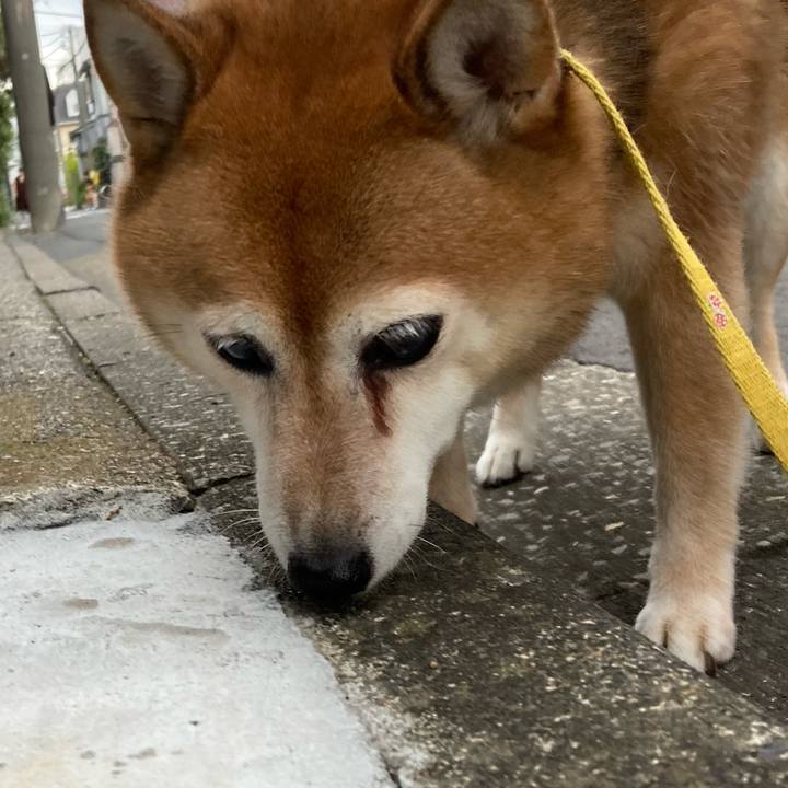 03b3a6d8 23b1 42d0 943f fe882cde548e 1661331212500