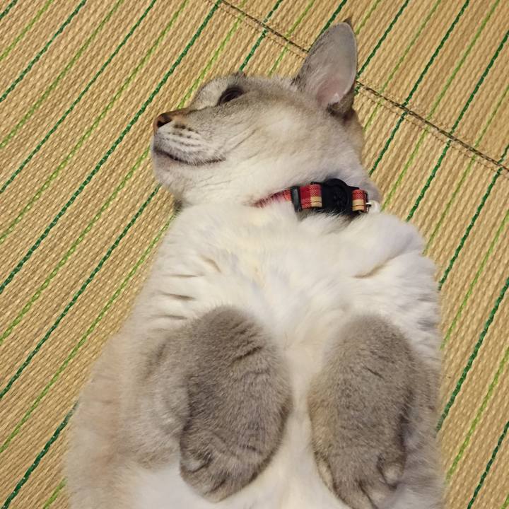 03b3bf5a cbae 4872 85c3 bae1f8afb39f 1537395994700