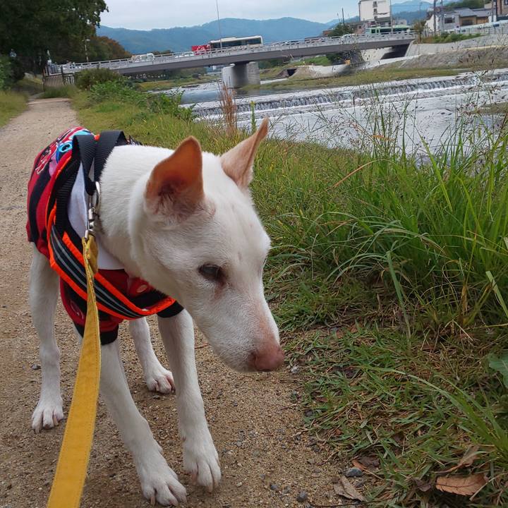 03b3e941 7825 4a81 9467 791d3a7b2842 1571275852136