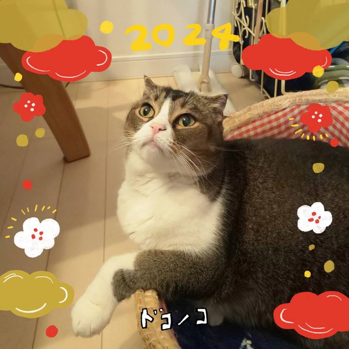 03b48544 54fe 4992 8a72 ea8d76d2ccff 1704583824400