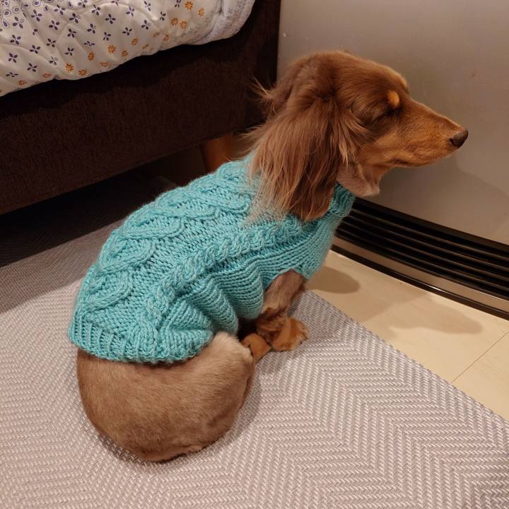 03b4a792 03a5 4379 9c7d 7d51ebab0083 1735553639737