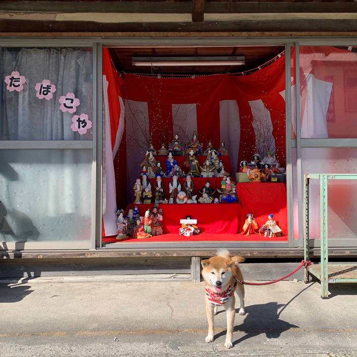 03b4d1a3 3215 4ff6 ae77 6bb39d768dc2 1585127294873