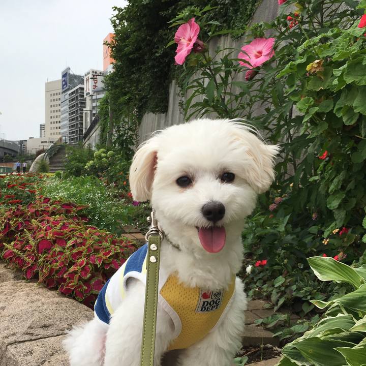 03b4ecbc 7337 4ba0 899a d369ceb6dcdc 1562825895495