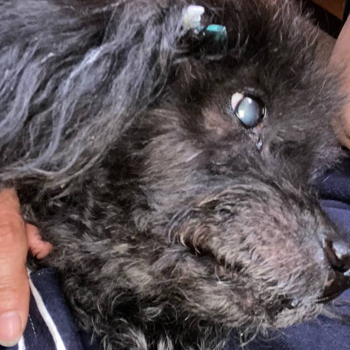 03b54930 48f2 4d5a 99ae ab397f4ff5ad 1606104776914