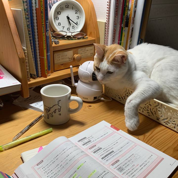 03b5546e 1818 4886 b9e1 0b5b8e3b70e1 1646079673177