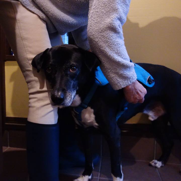 03b5a0fd 74c0 4b88 ac84 1e8744f0eb71 1731633744256