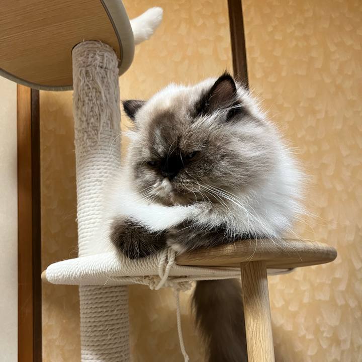 03b5b8e4 f9ce 444f 91cf cbdb472fc1b5 1729607746369