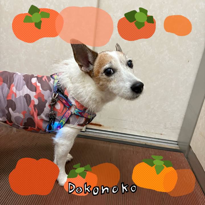 03b5bf43 34a5 4eba 9de0 4d43f7a37523 1761523777899