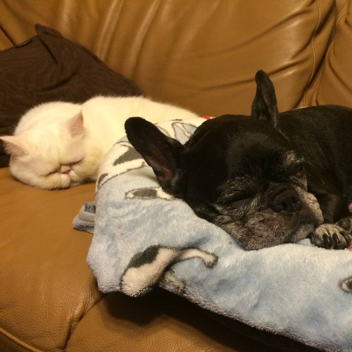 03b5c650 f08a 423c 9e57 1a674ae4ce58 1747812344483