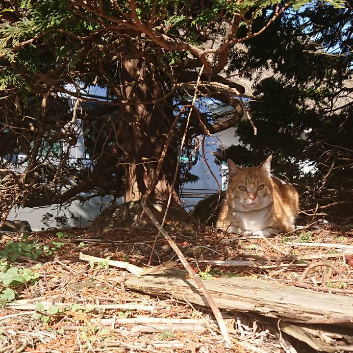 03b619f5 df81 422c a3d9 c3f7d0d5bb8f 1583563240285