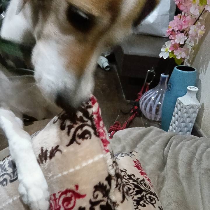 03b678fc 75a5 4926 b40e 6d440219799c 1737284796555