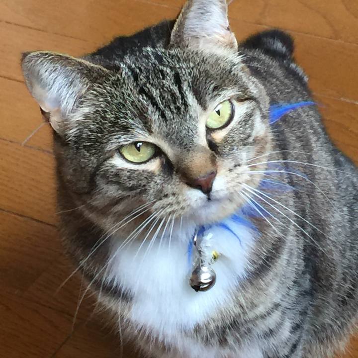 03b6ab3d 1c7b 46e0 8133 877060ddea45 1559372567267