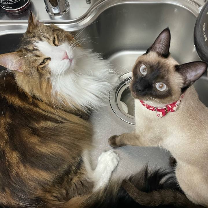 03b6c414 f492 46e5 9036 f9c75e134b6c 1709410764765