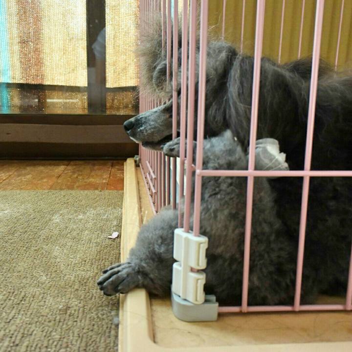 03b6c71d a9fc 4c04 8efc 9fe579ad020c 1522332782679