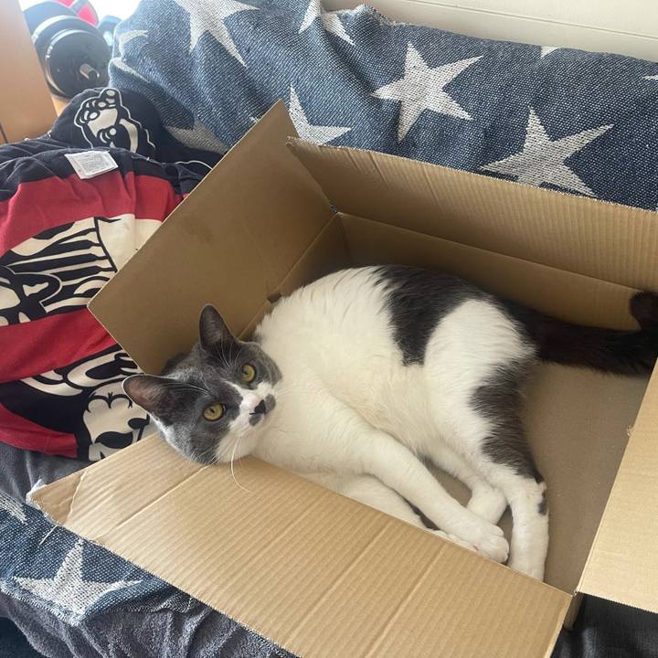 03b6c9a9 5261 4c91 8fa1 e1f2200b05c2 1645331237139