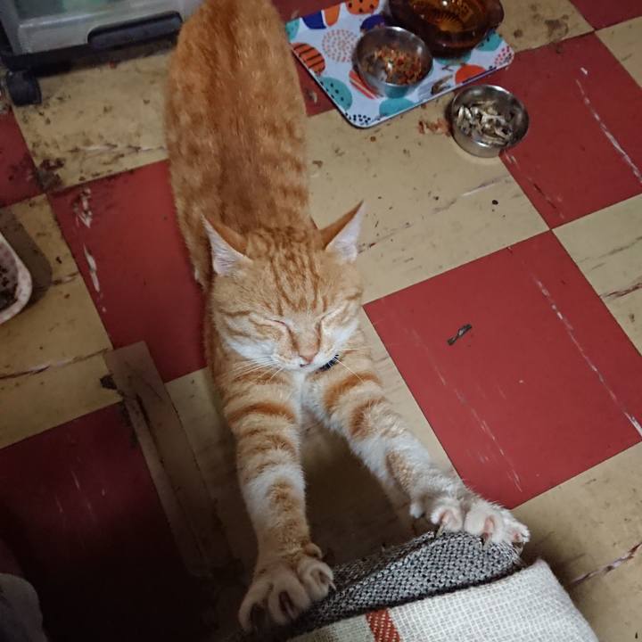 03b6e666 bef5 4b5f 88e8 43015adae4f6 1563064183512