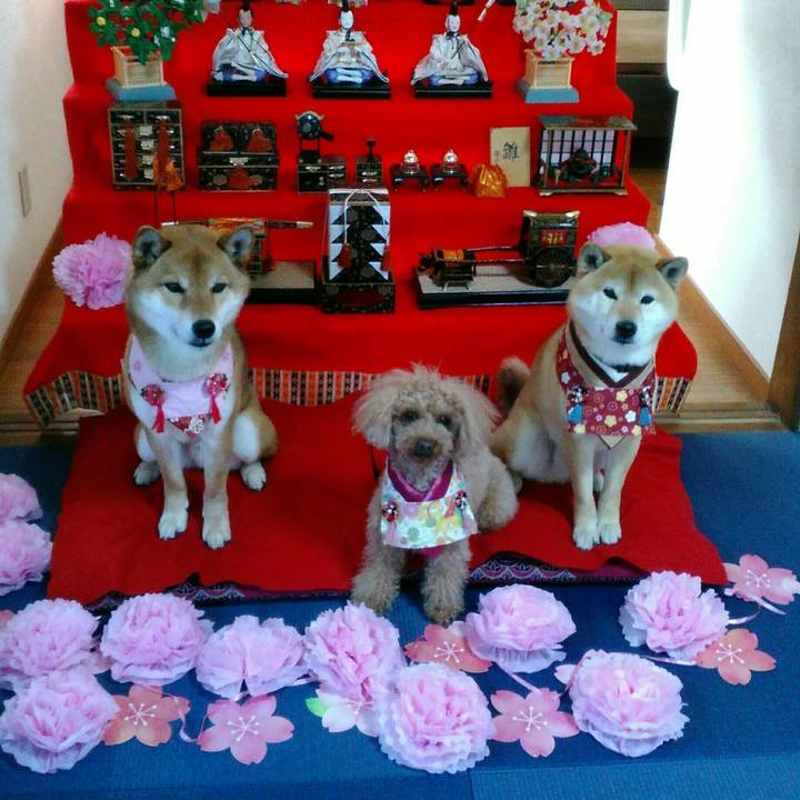 03b6fb7c ca0e 4bfa 91cd 6982ef8cf8c7 1520082936854