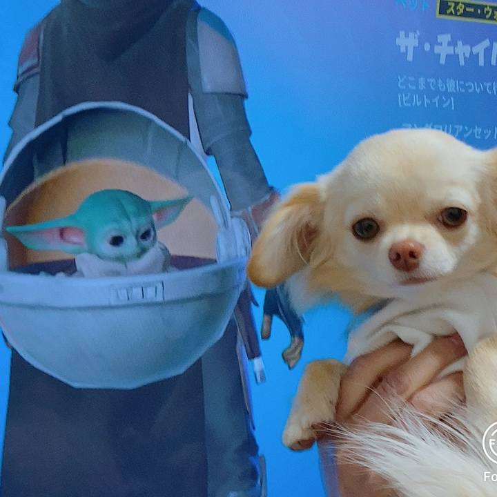 03b70e48 50a0 42fd b7fd 5d28aa5de8ba 1613529331809