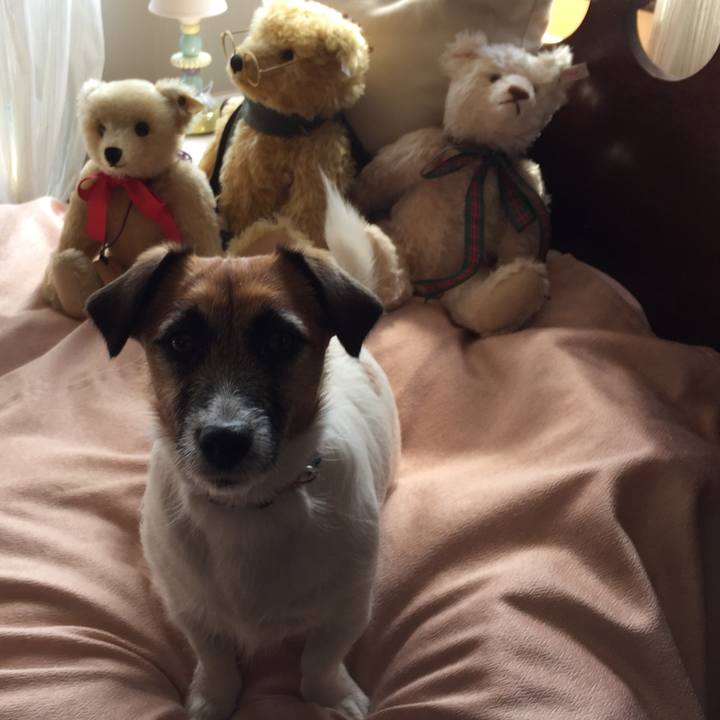 03b72211 927e 4b8e 89f0 fe567a62d3ba 1553671842446