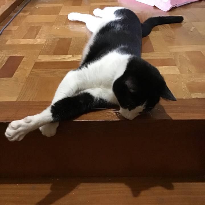 03b72358 9f8c 4afb 9117 b304e4888337 1695288446933