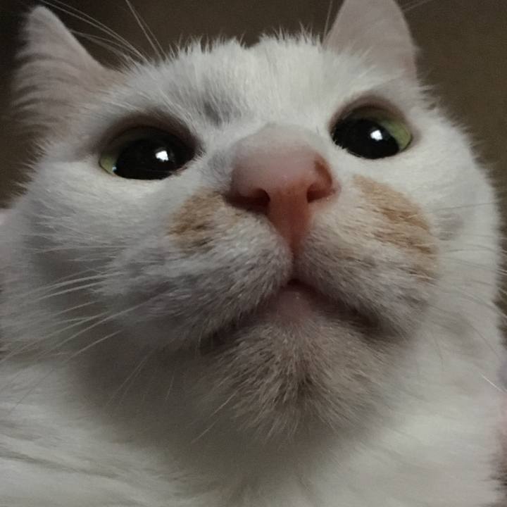 03b737fb f463 4eee 8a5f a3f78af0c92f 1544550323559