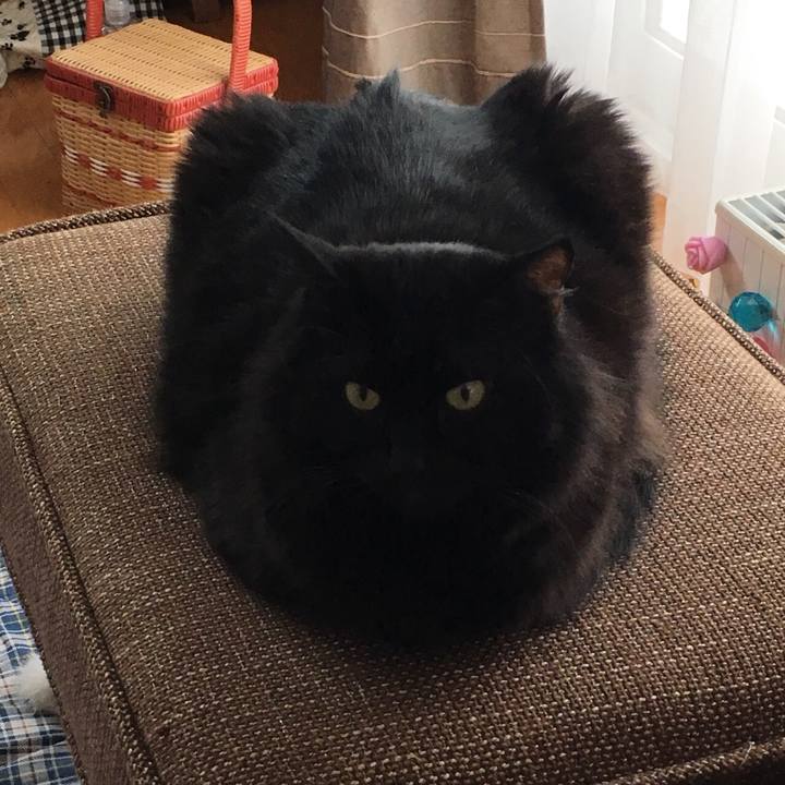 03b74a32 49e3 4d2b bcdc f5e7aefce015 1514853881157