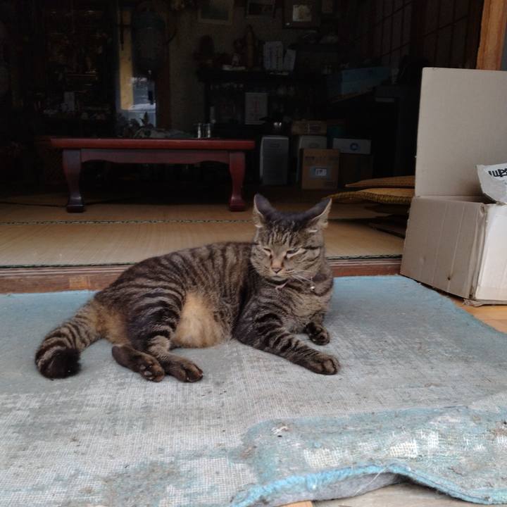 03b76b52 39de 44f3 90e7 957d524d5570 1723846115260