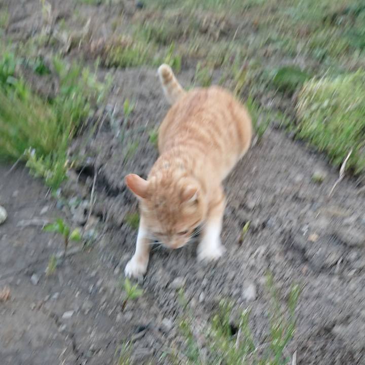 03b7792e 032a 47c9 9dbe 68288ea2a54a 1557048526468