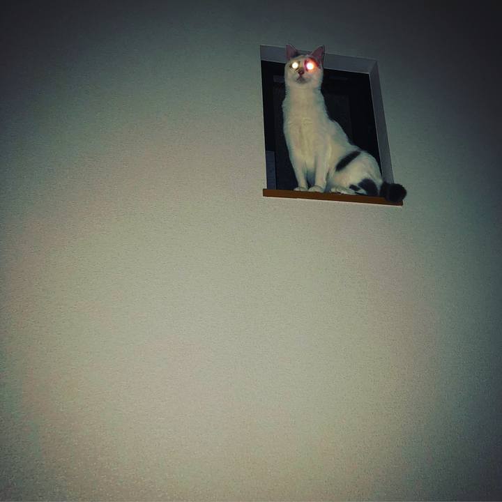 03b77cea a04f 4e0a 8699 51f64d1ea572 1540885965958