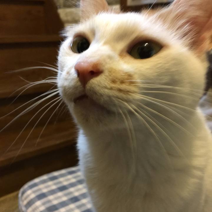 03b7be01 5a7f 4ef0 ac28 82f5393c977c 1563530795550