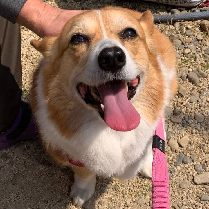 03b7fe2e 747b 482b b163 a5e4e6d7cf7e 1679457987859