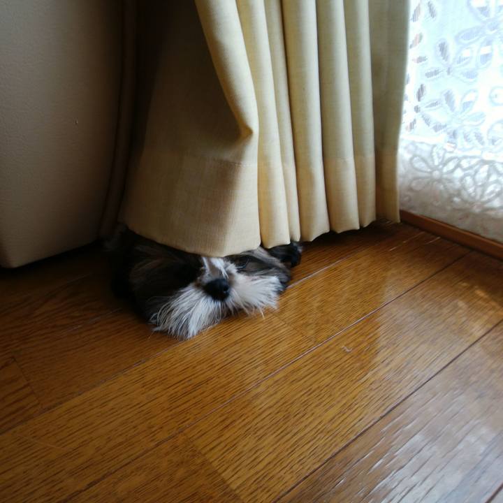 03b80874 805f 492a b78c da7153e52612 1535854573055